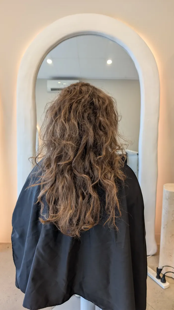 Long wavy hair with frizz before nanoplasty treatment