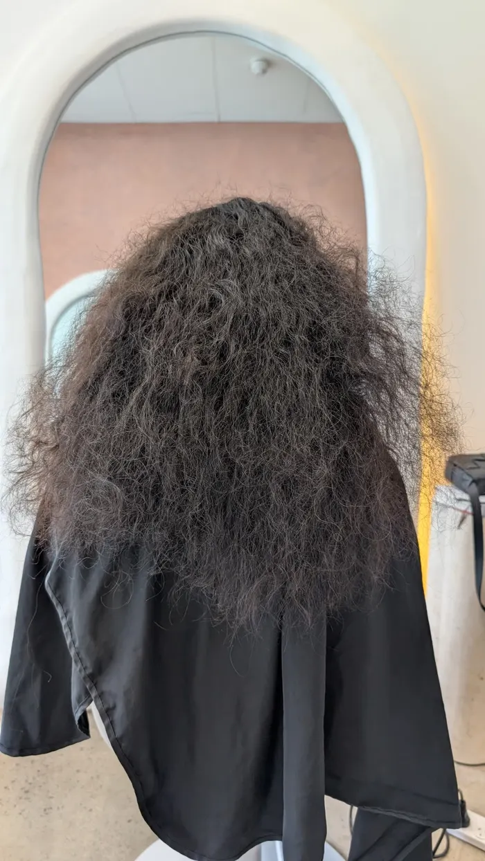 Thick curly hair with volume and frizz before nanoplasty treatment